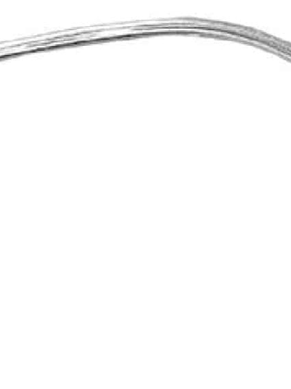 GLAM1226 Fender Molding Passenger Side