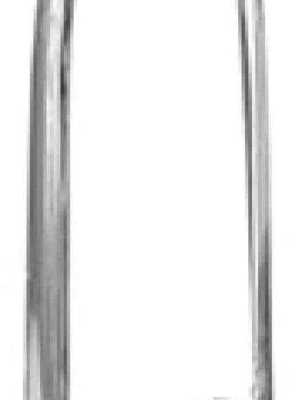 GLAM1419 Fender Molding Eyebrow