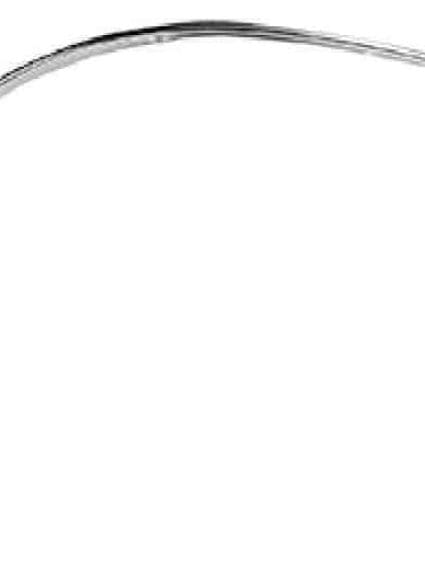 GLAM1226 Fender Molding Passenger Side