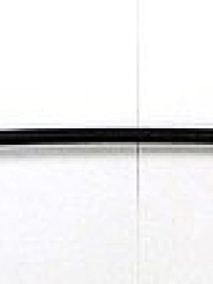 GM1905100 Body Panel Truck Box Tailgate Access Cover