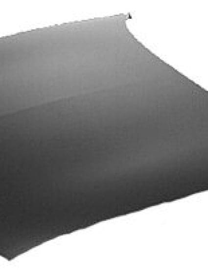 GM1230228C Body Panel Hood