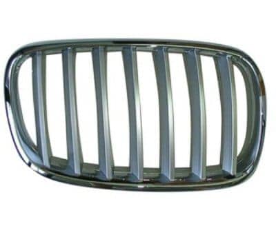 BM1200183 Grille Main