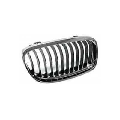 BM1200193 Grille Main