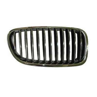 BM1200195 Grille Main