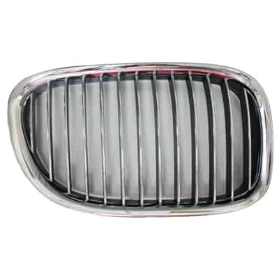 BM1200197 Grille Main