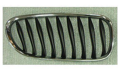 BM1200217 Grille Main