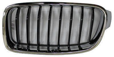 BM1200236 Grille Main