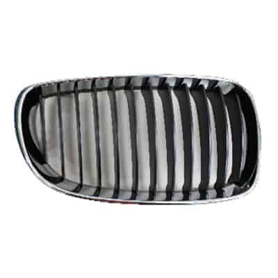 BM1200237 Grille Main