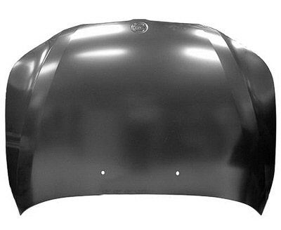 BM1230125 Body Panel Hood