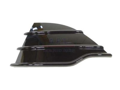 FO1038125 Driver Side Front Bumper Fog Light Cover