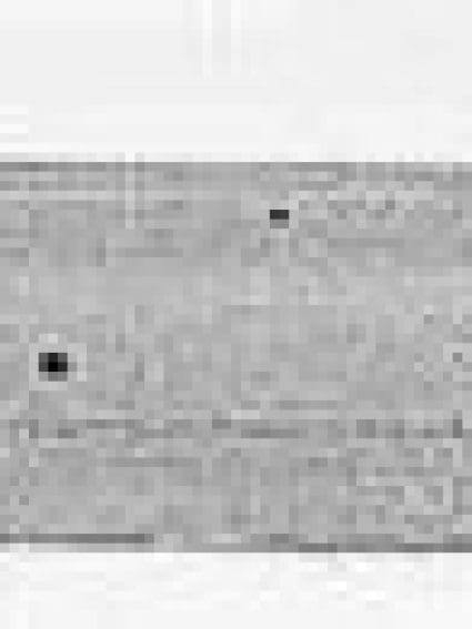 MA1002113 Front Bumper Face Bar