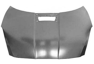 TO1230196 Hood Panel