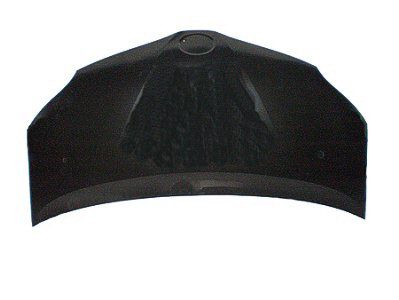 TO1230220C Hood Panel