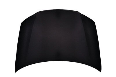 TO1230221C Hood Panel