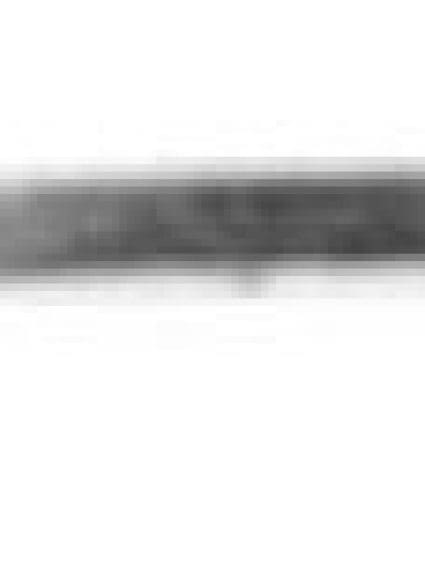 TO1235100 Hood Molding