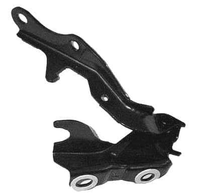 TO1236132 Passenger Side Hood Hinge