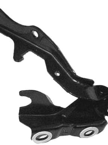 TO1236132 Passenger Side Hood Hinge
