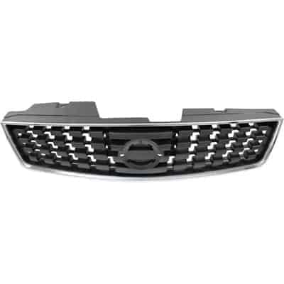 NI1200248 Grille Main