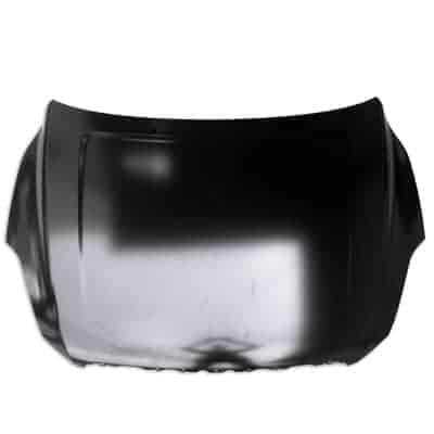 VO1230120 Hood
