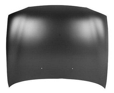 FO1230169C Body Panel Hood