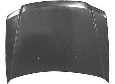 FO1230263C Hood