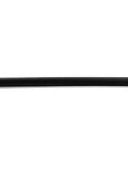 FO1304108 Body Panel Door Molding Driver Side
