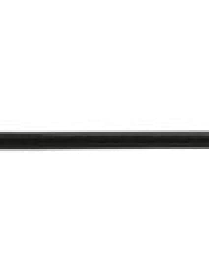 FO1305108 Body Panel Door Molding Passenger Side