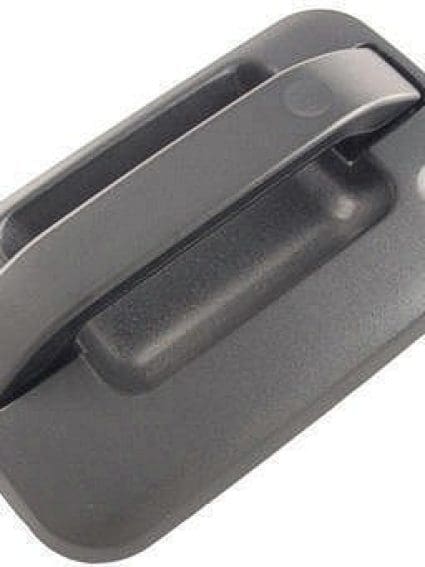 FO1310129 Exterior Door Handle