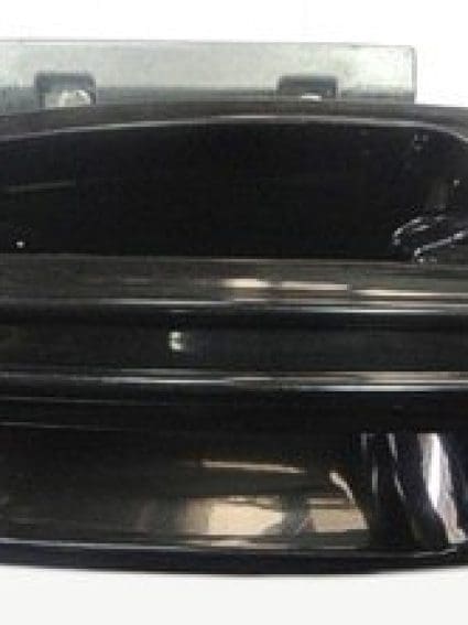 FO1310137 Exterior Door Handle