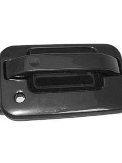 FO1311131 Exterior Door Handle