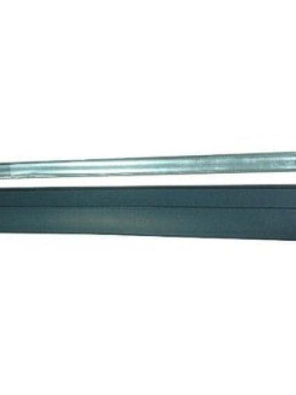 FO1505102 Body Panel Door Molding Passenger Side