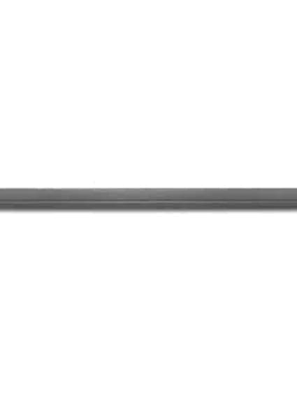 CH1304108 Driver Side Door Molding