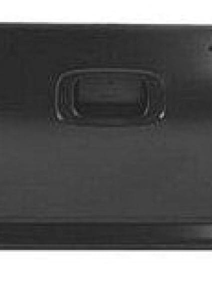 GM1900115C Body Panel Truck Box Tailgate Shell