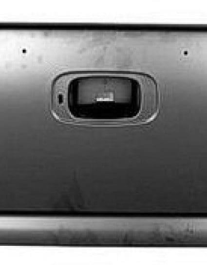 GM1900109 Body Panel Truck Box Tailgate Shell