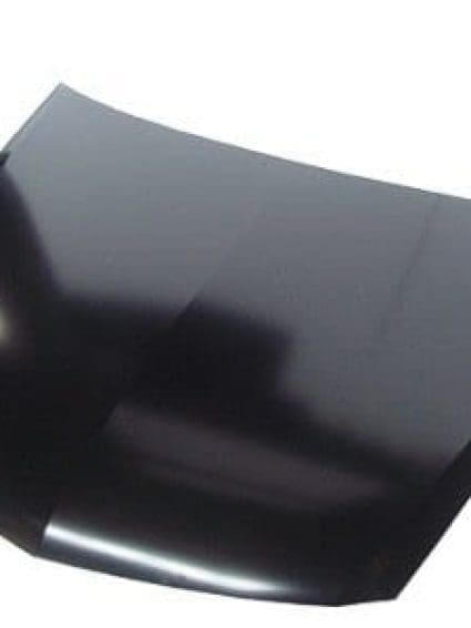 AC1230119C Hood Panel