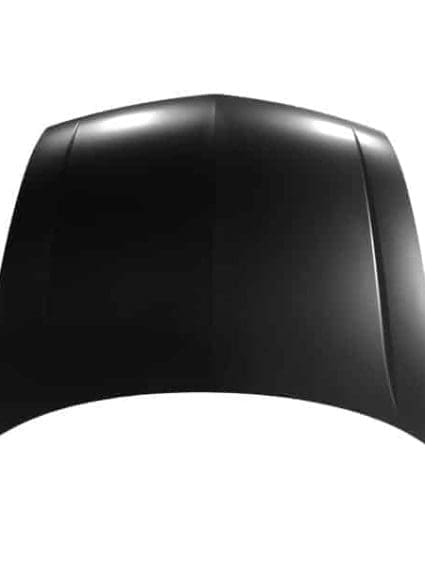 AC1230118C Hood Panel