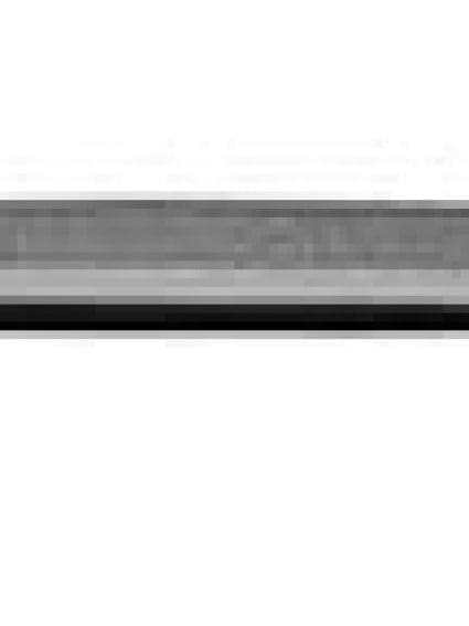 HO1235102 Hood Molding