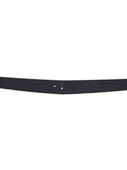 GM1210120C Grille Molding