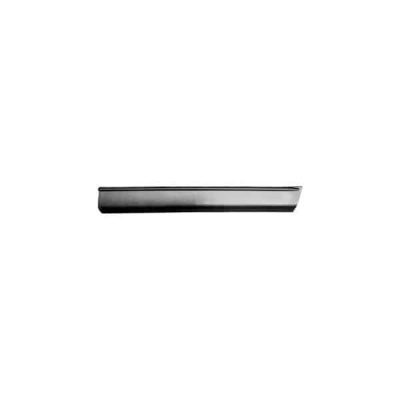 FO1305109 Passenger Side Door Molding