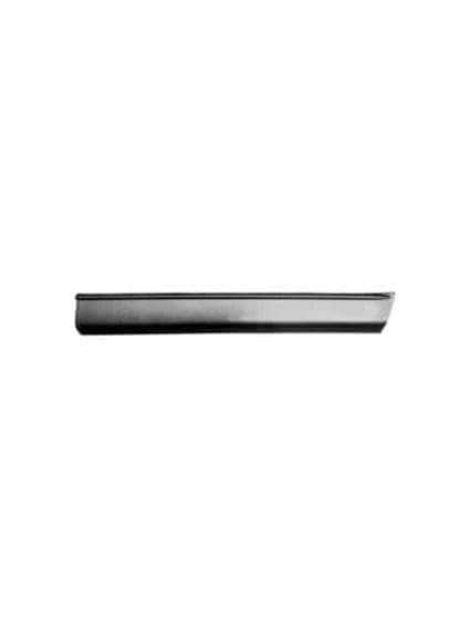 FO1305109 Passenger Side Door Molding