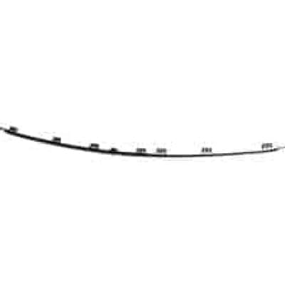 CH1044125 Front Bumper Cover Molding