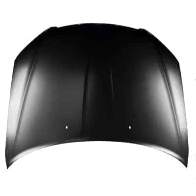 CH1230290C Hood Panel