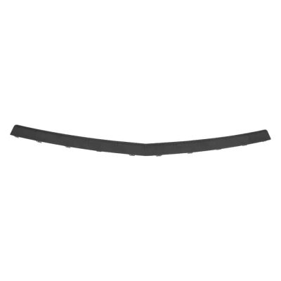 GM1191141 Rear Bumper Step Pad