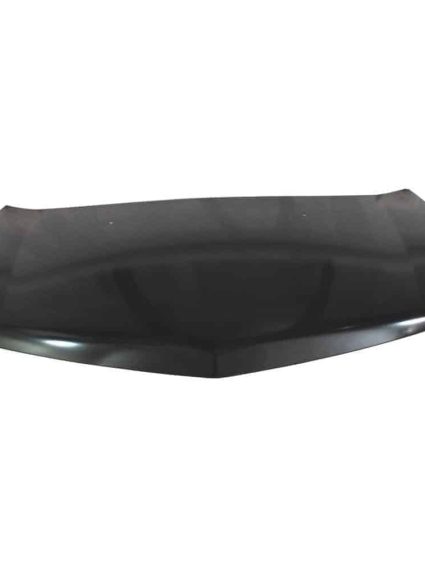 AC1230123C Hood Panel