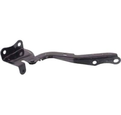 TO1236193 Passenger Side Hood Hinge