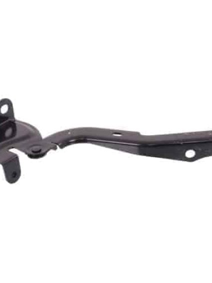 TO1236193 Passenger Side Hood Hinge