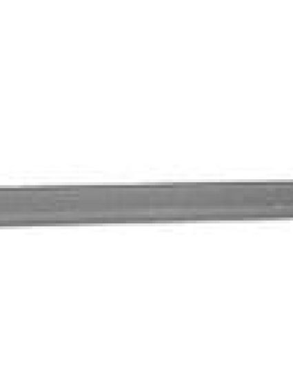 NI1304100 Driver Side Door Molding