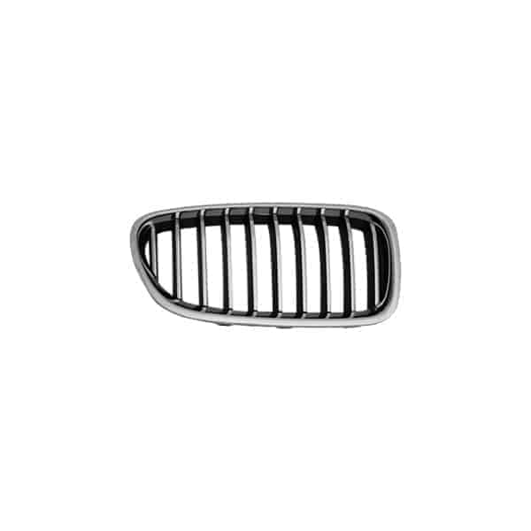 BM1200245 Grille Main