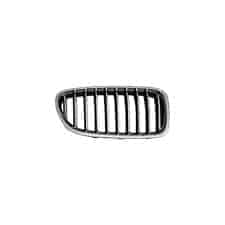 BM1200248 Grille Main