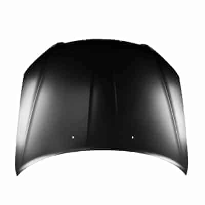 CH1230298 Hood Panel